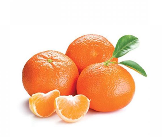 Mandarinka Clementina - Citrus Clementino na kmeni - výška s květ. 110-120cm
