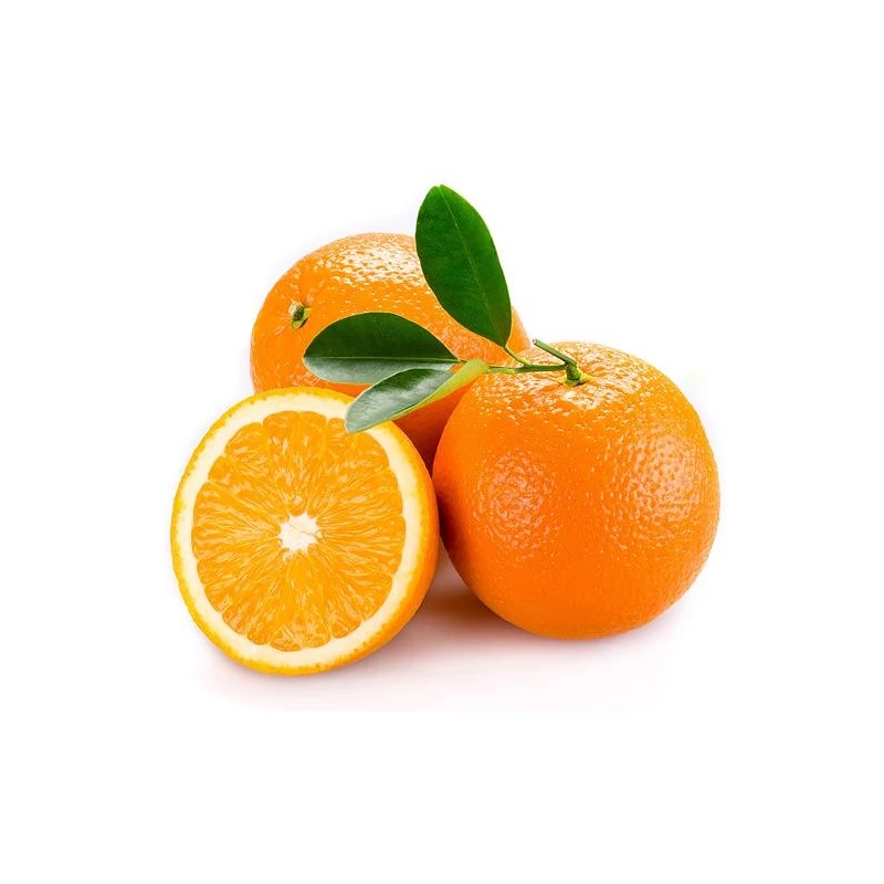 Citrus Arancio s plody - výška 150/160cm