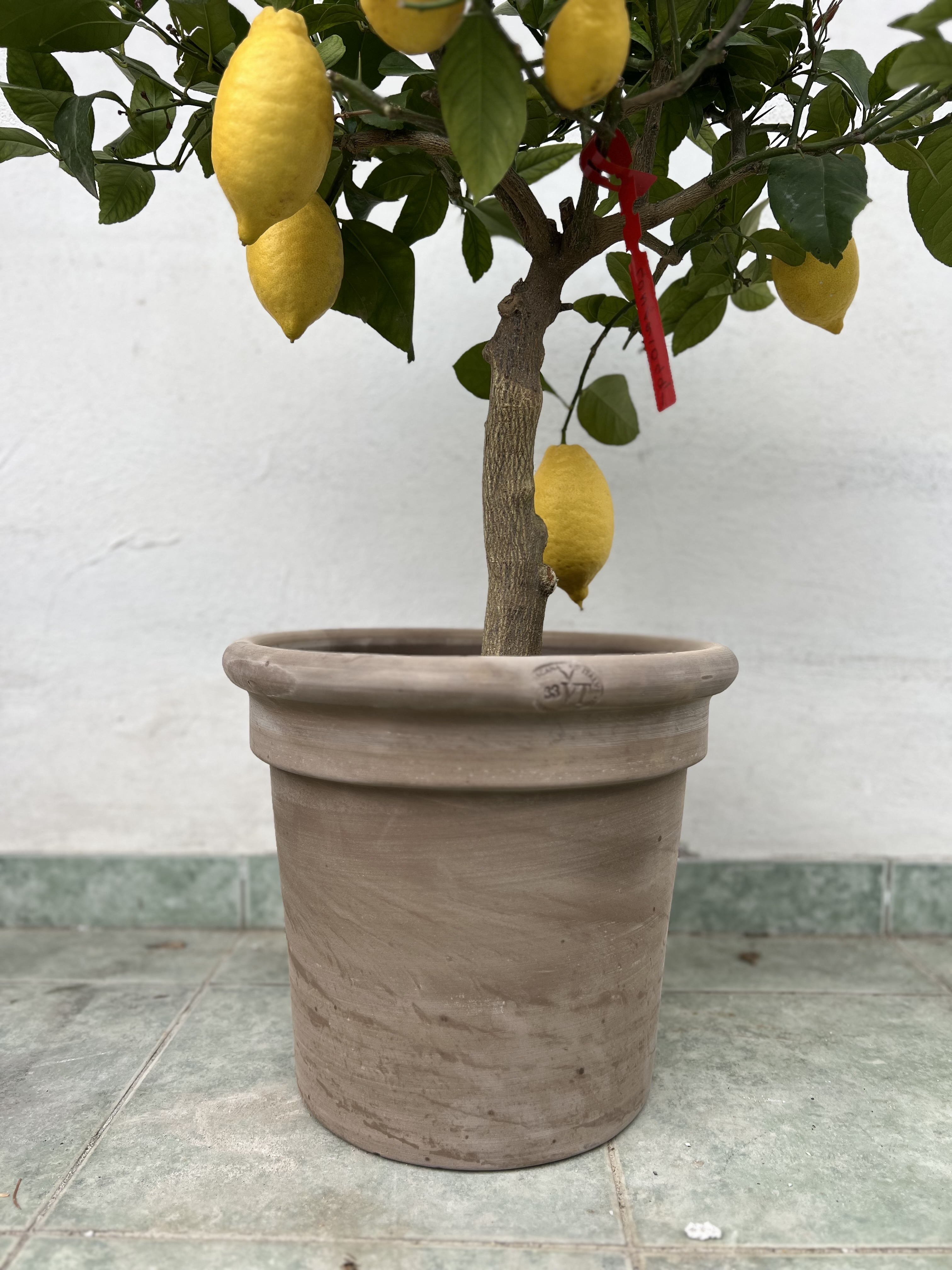 CILINDRO ALTO TOSCANO Pietraantiqua výška 40cm - terakotový květináč i s podmiskou