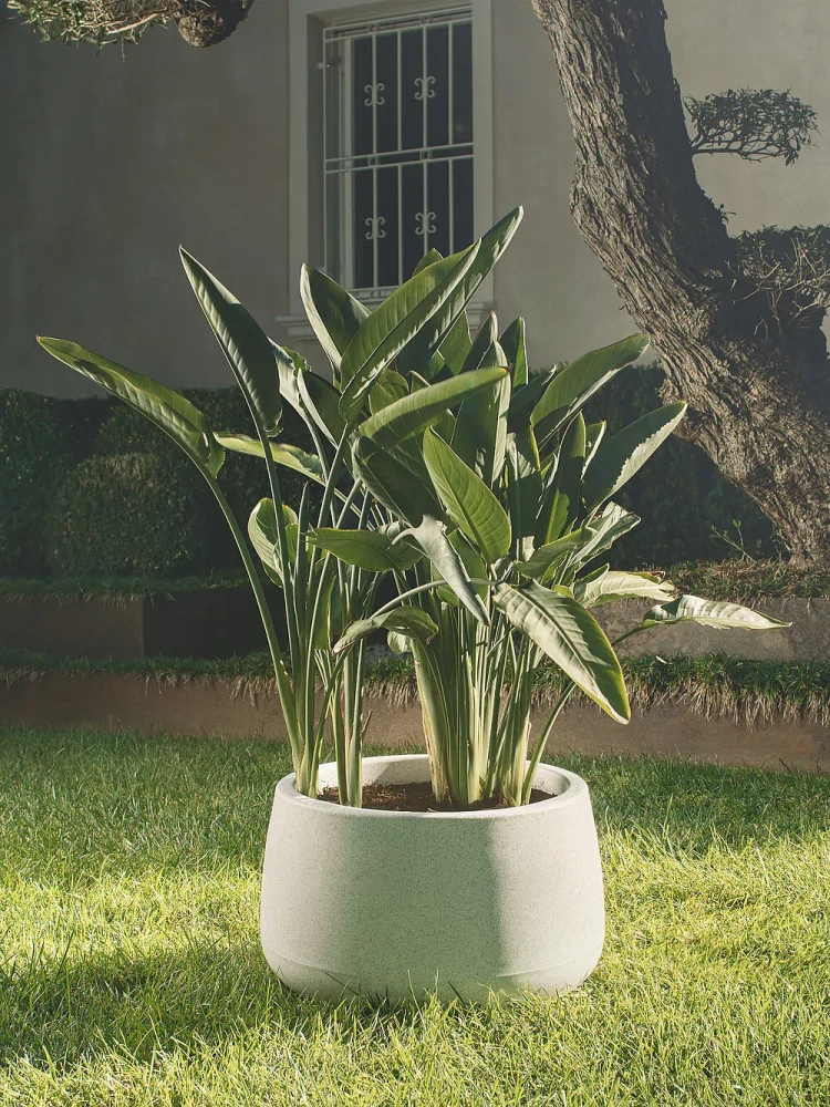 Květináč Titano - 80 cm šířka, různé barvy