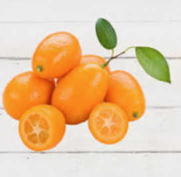 Kumquat - výška 55-70cm s plodmi 