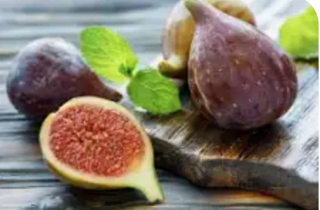 Fíkovník Ficus carica - odroda de la Reina - 160-170cm, -12°C