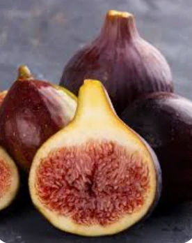 Fíkovník Ficus carica - odrůda BROGIOTTO tmavá - 160-170cm, -12°C