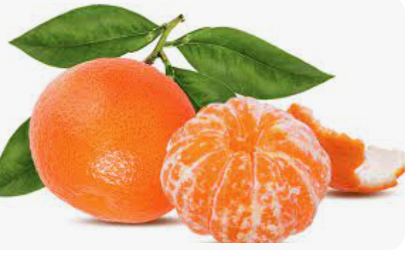 Mandarinka - Citrus Mandarino - výška 70-80cm s květináčem