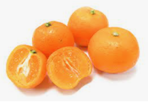 Calamondin výška rostliny s květ. 50-70cm, s plody