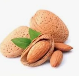 Jarní akce - Mandlovník odrůda Ferragnes, výška cirku 160cm is květináčem