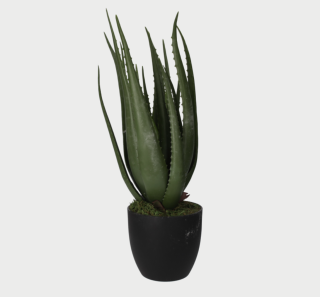 Aloe Vera výška 40cm - umělá rostlina