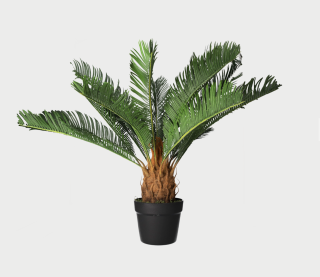Cykas Revoluta výška 110cm - umělá rostlina