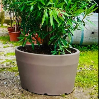 Kvetináč Ercolino Ercole - 63 cm šírka, rôzne farby
